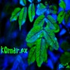 komarex